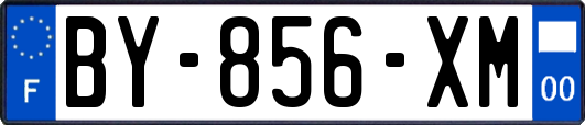 BY-856-XM