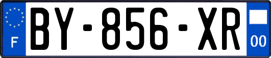 BY-856-XR