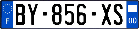 BY-856-XS