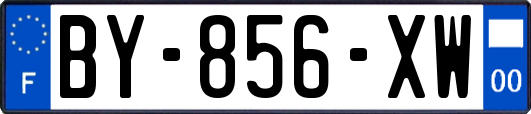 BY-856-XW