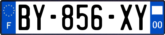 BY-856-XY