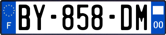 BY-858-DM