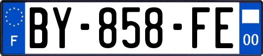 BY-858-FE