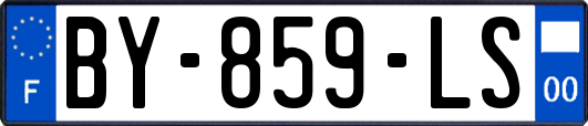 BY-859-LS