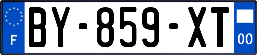 BY-859-XT