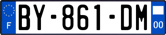 BY-861-DM