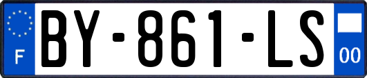 BY-861-LS