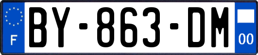 BY-863-DM