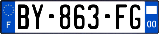 BY-863-FG