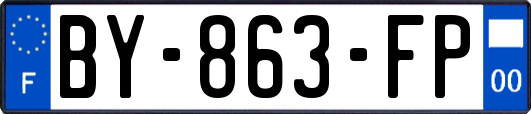 BY-863-FP