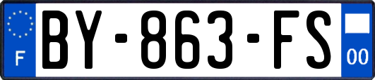 BY-863-FS