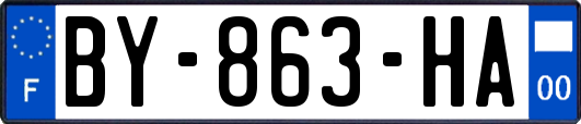 BY-863-HA