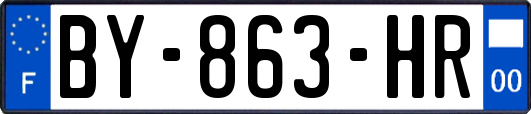 BY-863-HR