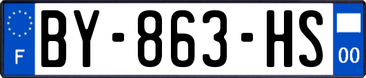 BY-863-HS