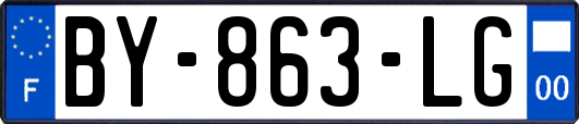 BY-863-LG