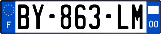BY-863-LM