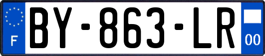 BY-863-LR