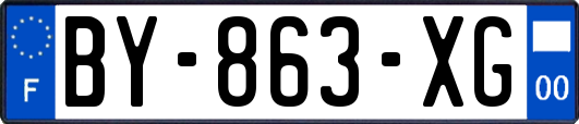 BY-863-XG