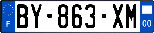 BY-863-XM