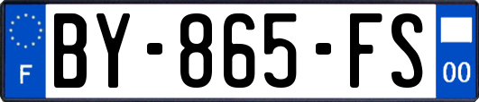 BY-865-FS