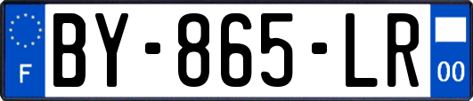 BY-865-LR