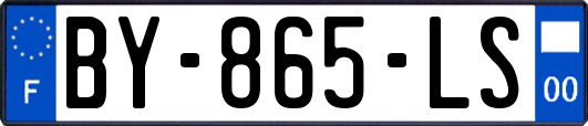 BY-865-LS