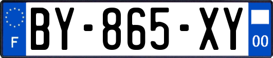 BY-865-XY