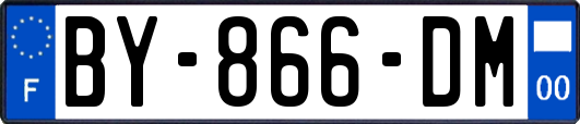 BY-866-DM