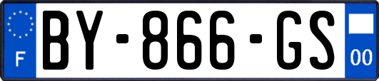 BY-866-GS