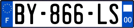 BY-866-LS