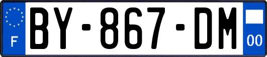 BY-867-DM