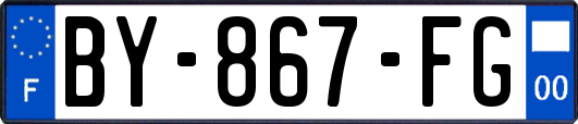 BY-867-FG