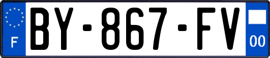 BY-867-FV