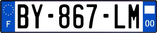 BY-867-LM