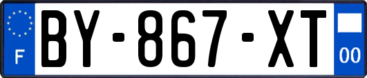 BY-867-XT