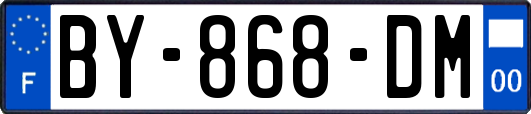 BY-868-DM