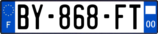 BY-868-FT