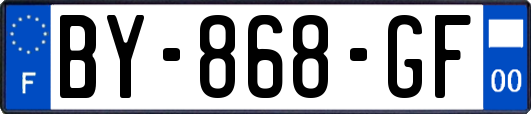 BY-868-GF