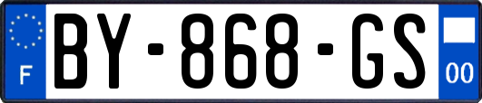 BY-868-GS