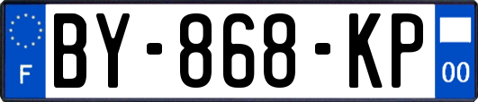 BY-868-KP