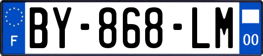 BY-868-LM