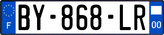 BY-868-LR