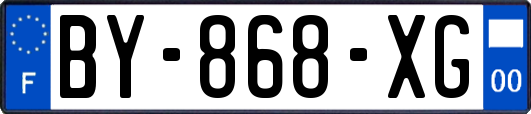BY-868-XG