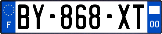 BY-868-XT