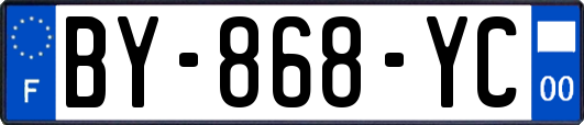 BY-868-YC