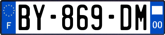 BY-869-DM