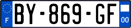 BY-869-GF
