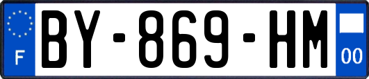 BY-869-HM