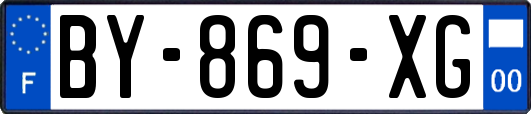BY-869-XG
