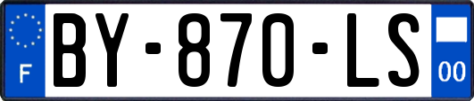 BY-870-LS